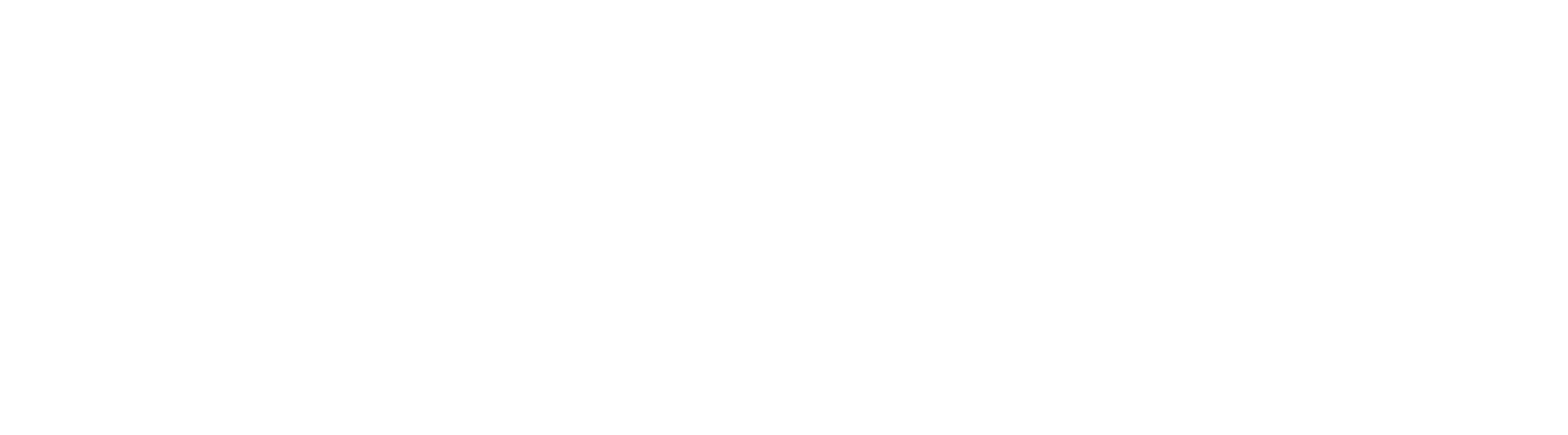 Wild Path Consulting Logo